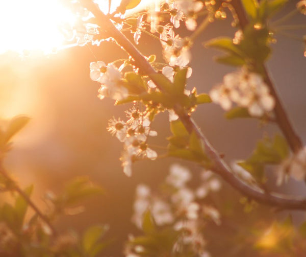 20 ways to boost your wellbeing in spring!