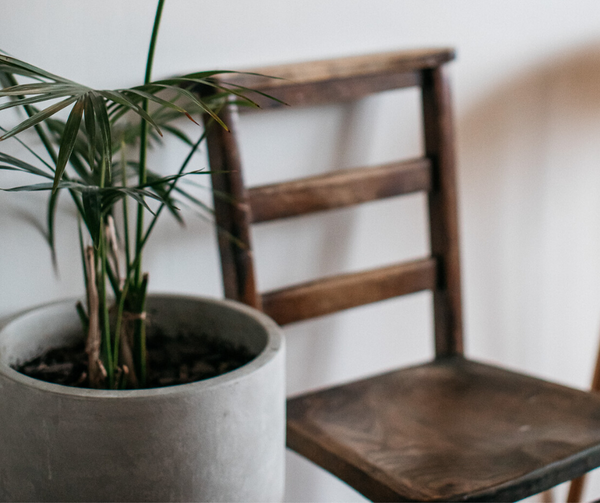 7 Ways To Freshen Up Your Home :Make It A Pleasant Place To Be