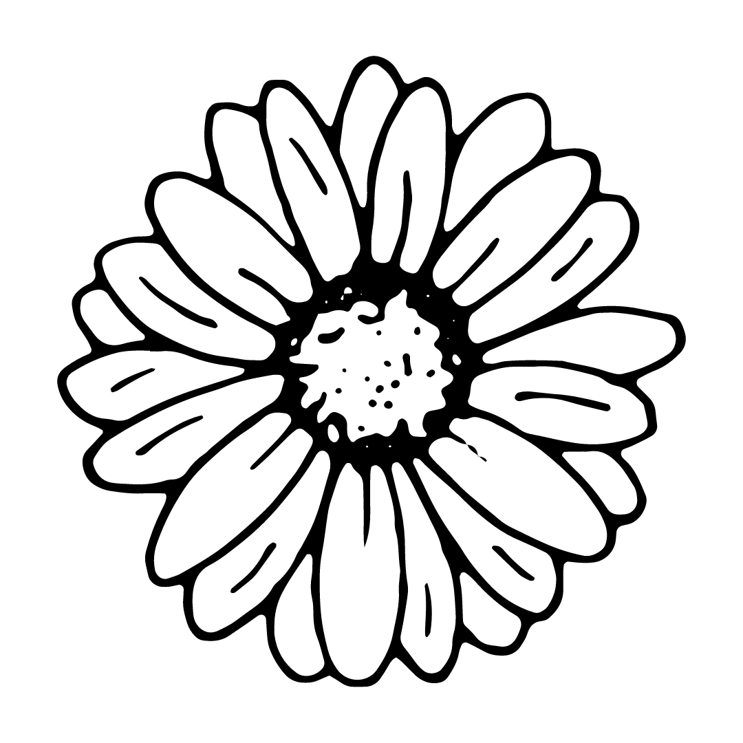 Alt Image