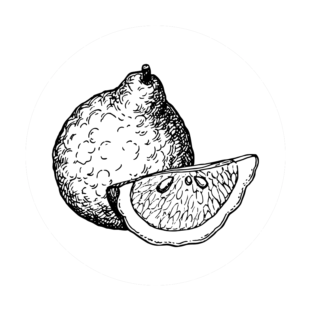Alt Image