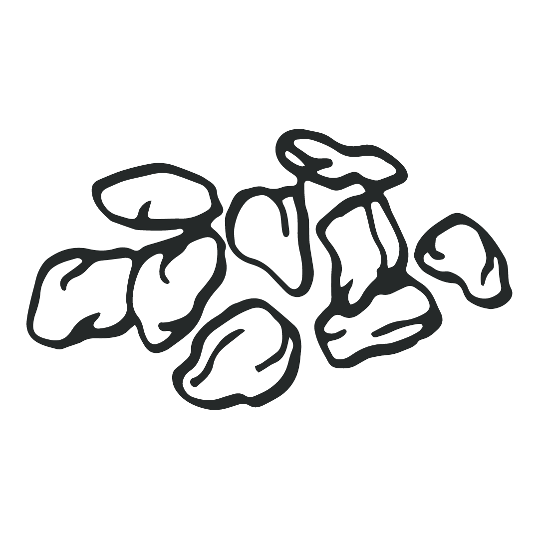 Alt Image