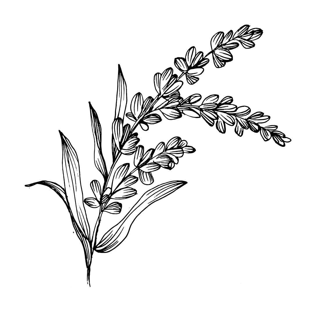 Alt Image
