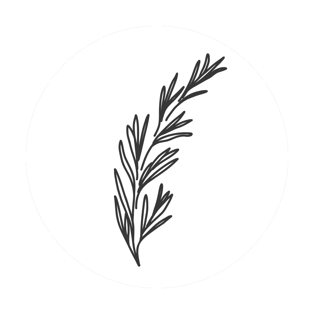 Alt Image